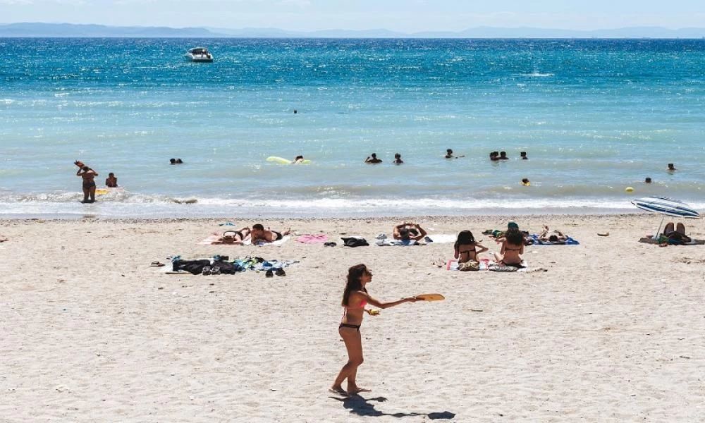 Θεσπρωτία: Η θάλασσα ξέβρασε αυτό το φίδι! Αναστάτωση σε παραλία στα Σύβοτα